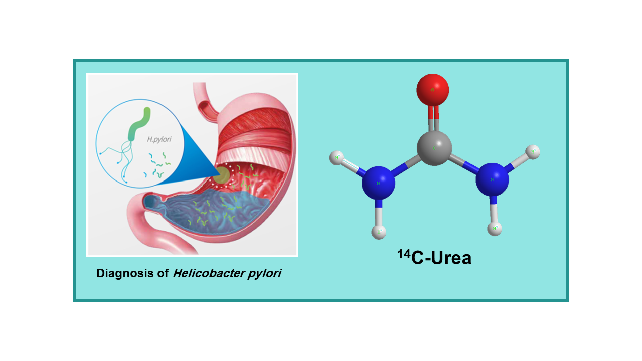 14C-Urea