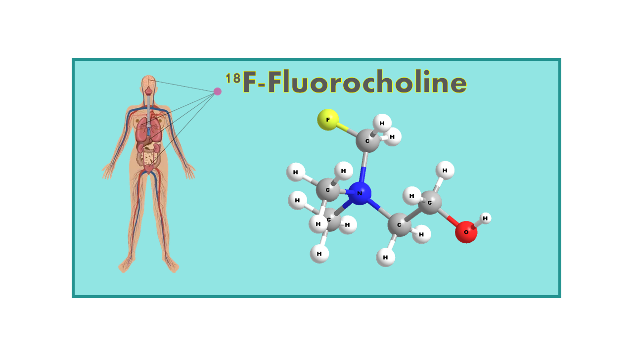 18F-Fluorocholine