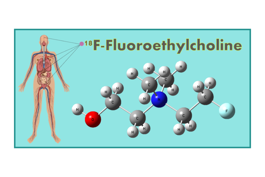 18F-Fluoroethylcholine