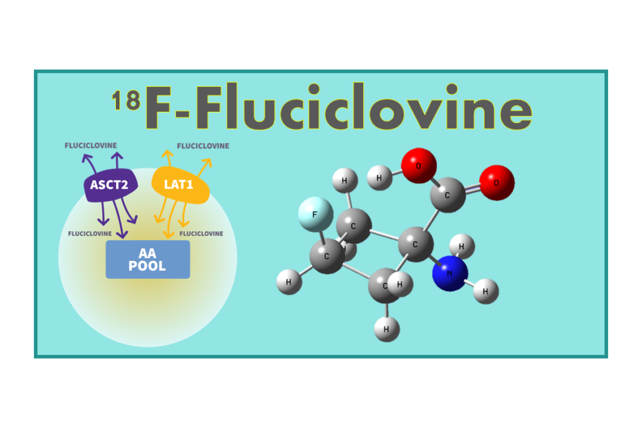 18F-Fluciclovine (Axumin®)