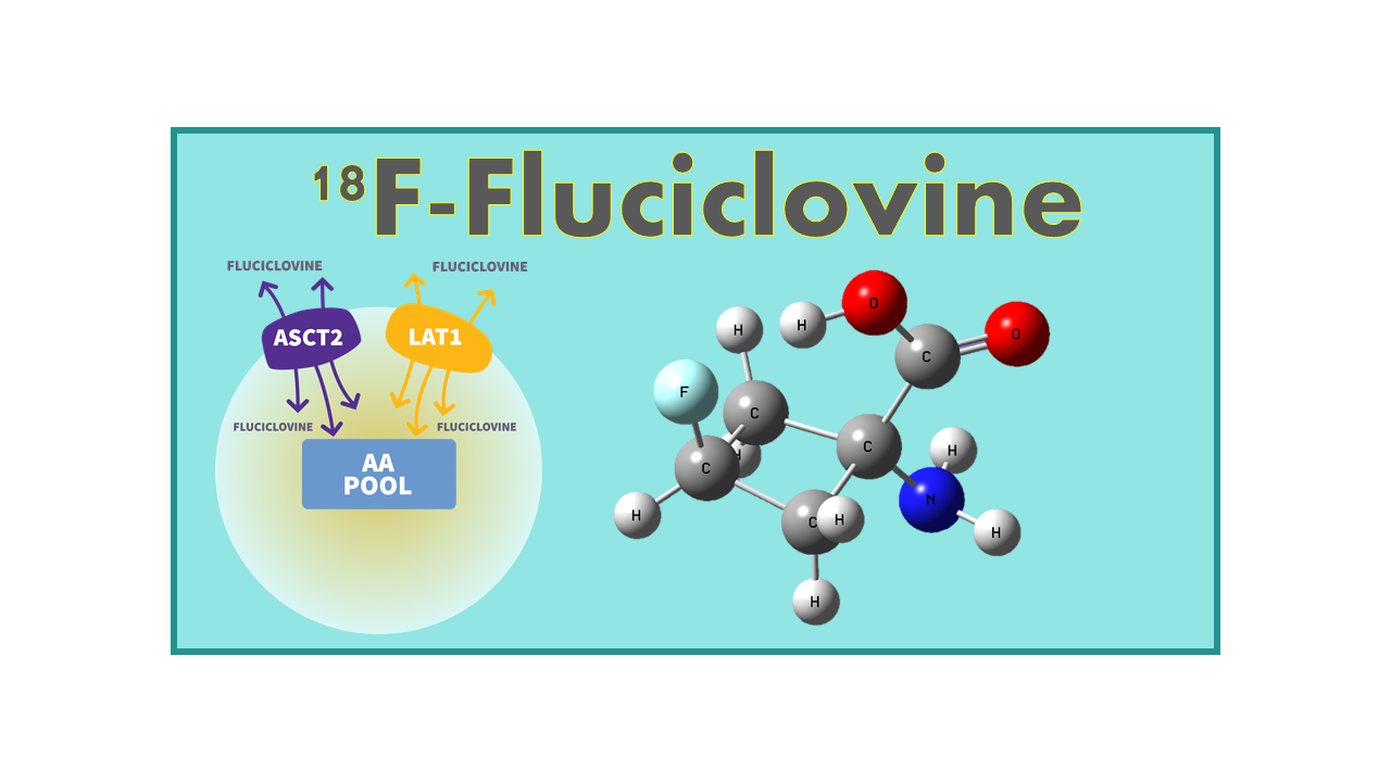 18F-Fluciclovine (Axumin®)