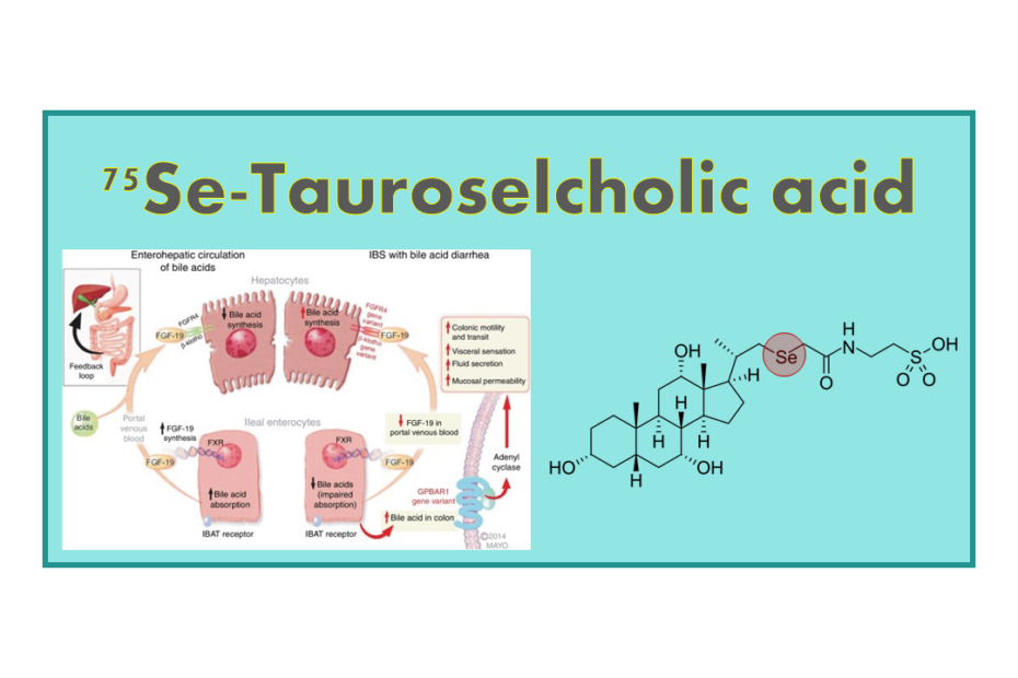 75Se-Tauroselcholic acid