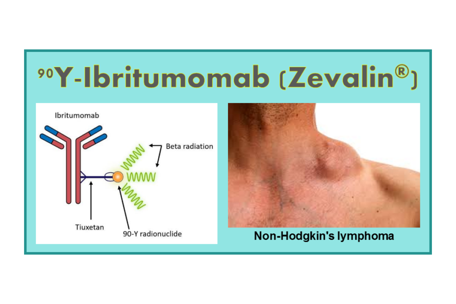 90Y-Ibritumomab Tiuxetan (Zevalin®)