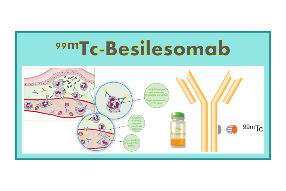 99mTc-Besilesomab (Scintimun®)