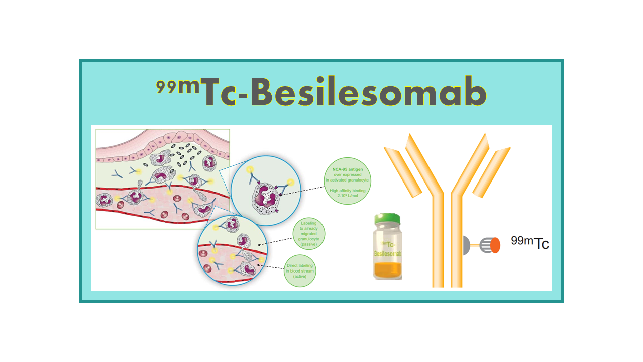 99mTc-Besilesomab (Scintimun®)