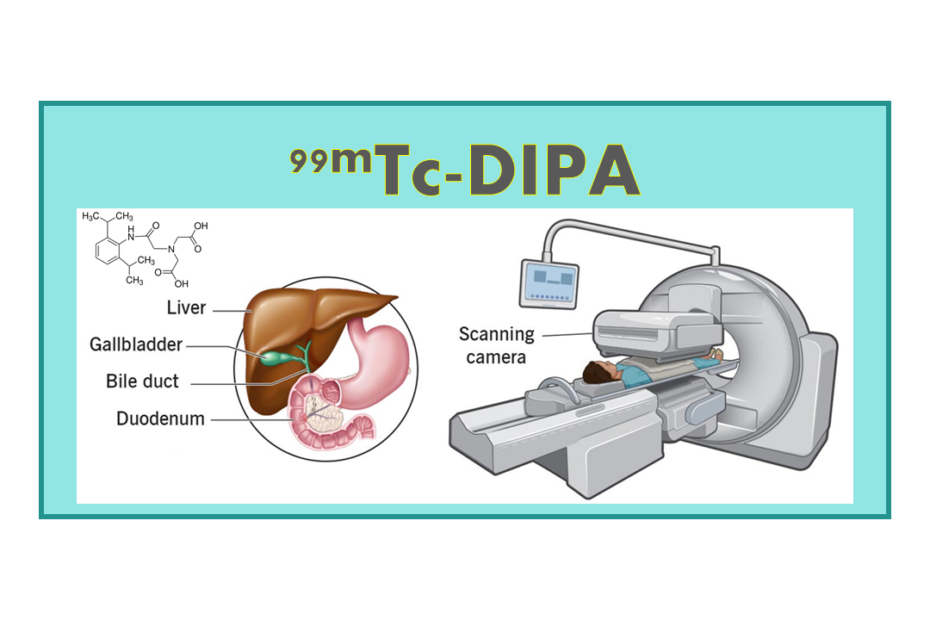 99mTc-DIPA