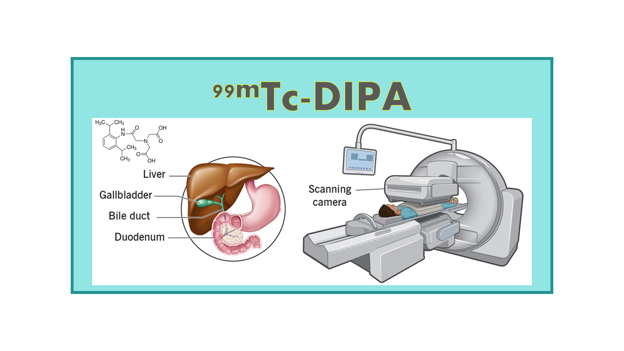 99mTc-DIPA