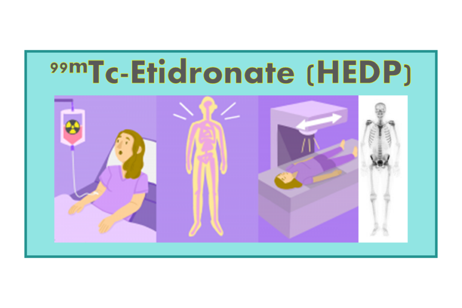 99mTc-Etidronate (HEDP)