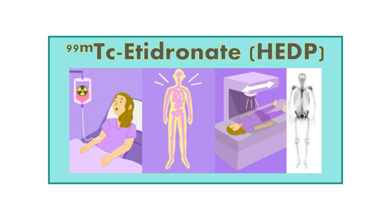 99mTc-Etidronate (HEDP)