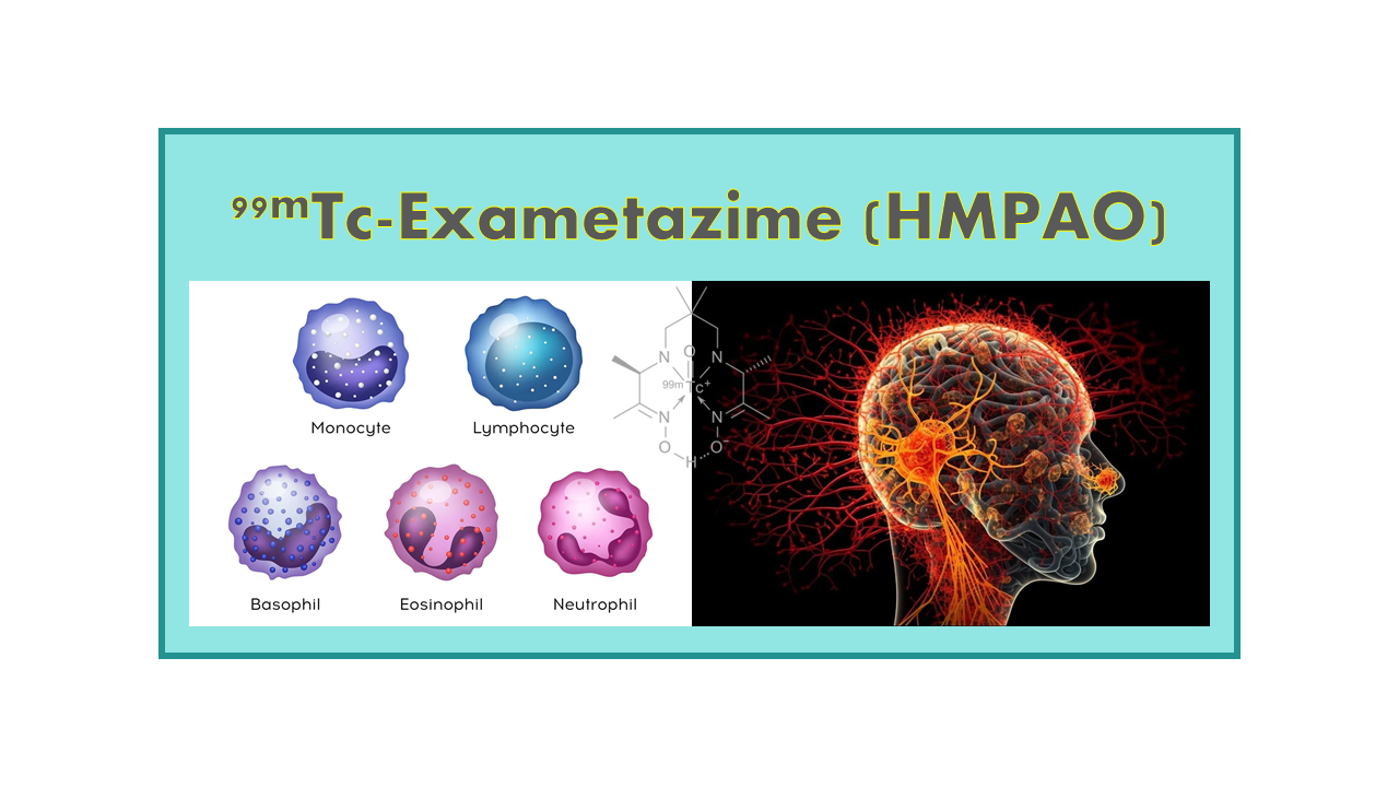 99mTc-Exametazime (HMPAO)