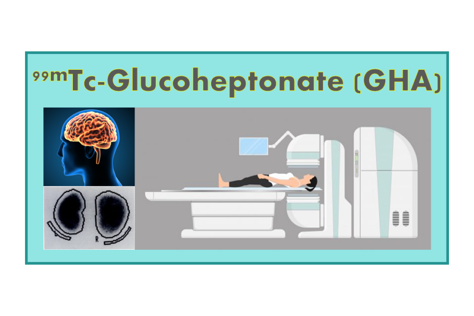 99mTc-Glucoheptonate (GHA)