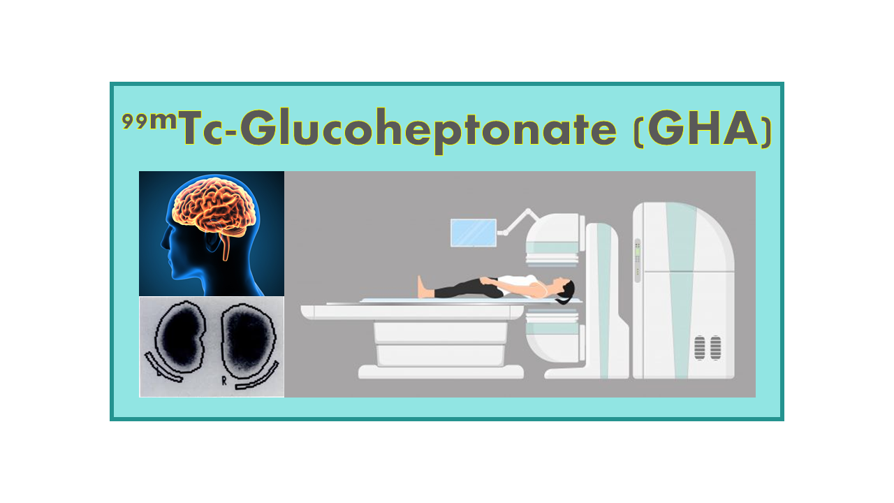 99mTc-Glucoheptonate (GHA)