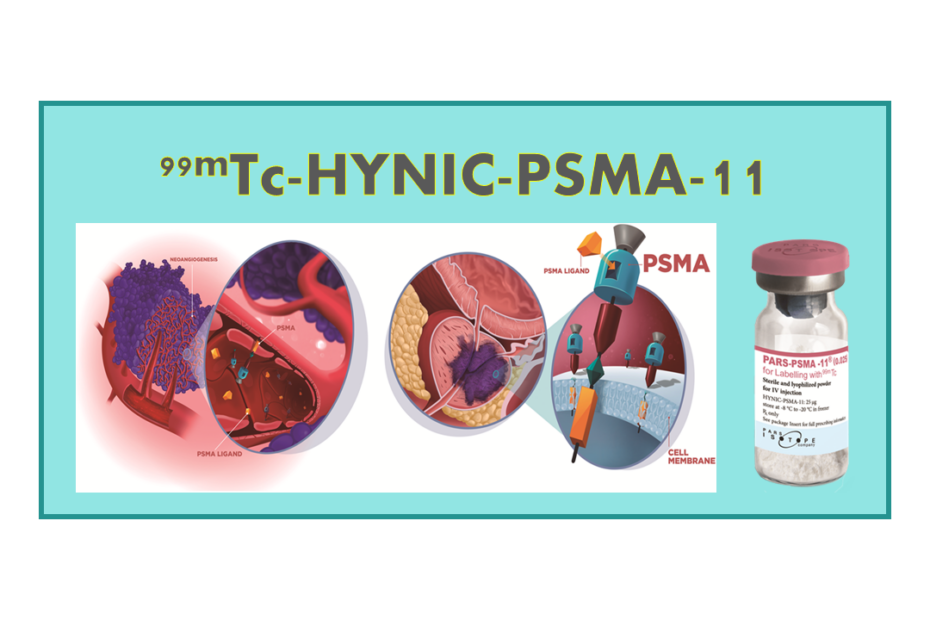 99mTc-HYNIC-PSMA-11