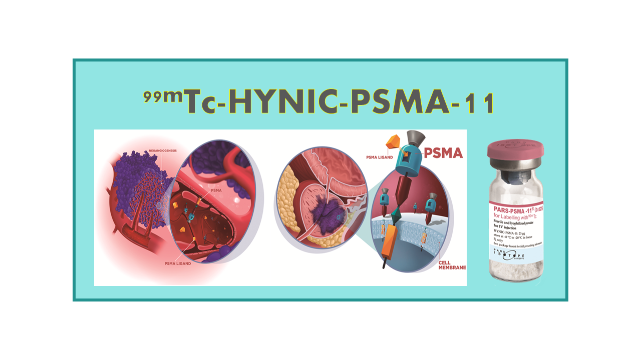 99mTc-HYNIC-PSMA-11