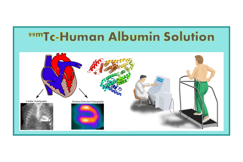 99mTc-Human Albumin Solution