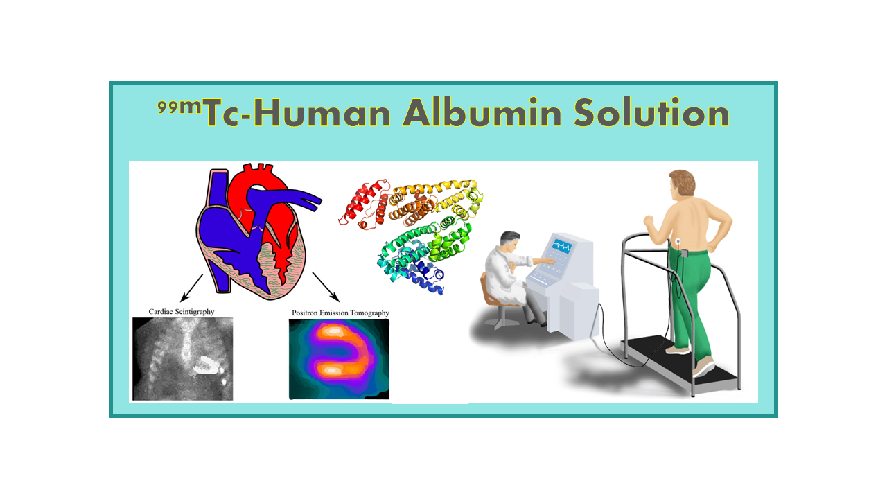 99mTc-Human Albumin Solution