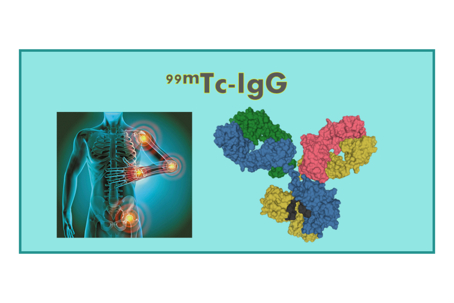 99mTc-IgG