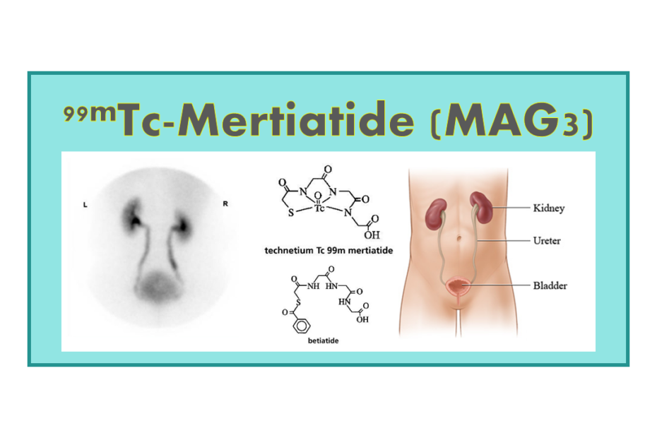 99mTc-Mertiatide (MAG3) or 99mTc-Betiatide