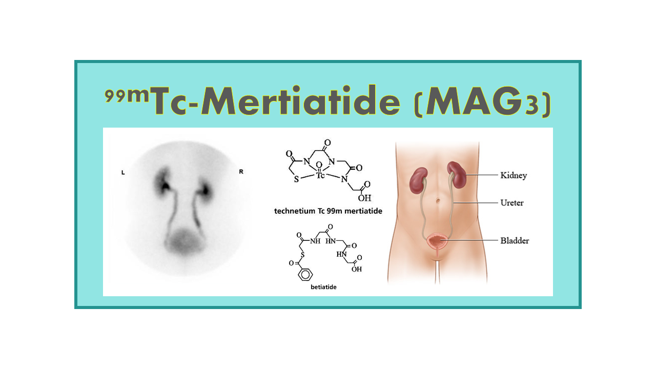 99mTc-Mertiatide (MAG3) or 99mTc-Betiatide