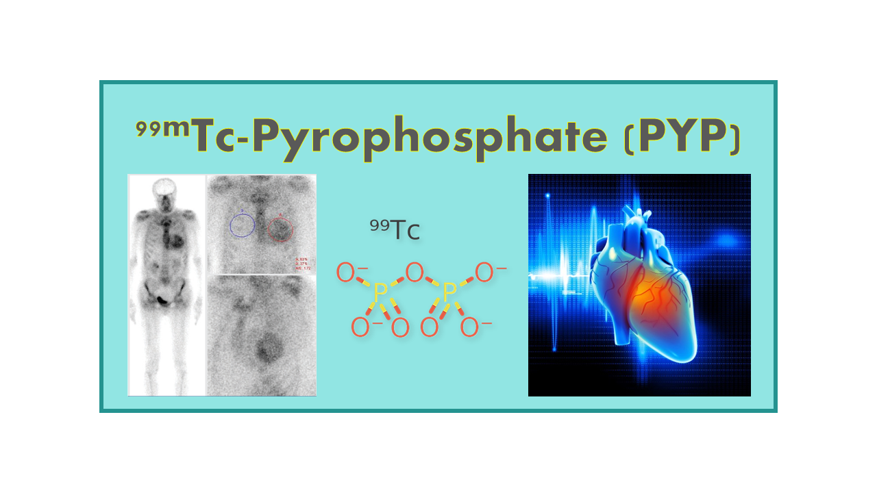 99mTc-Pyrophosphate (PYP)