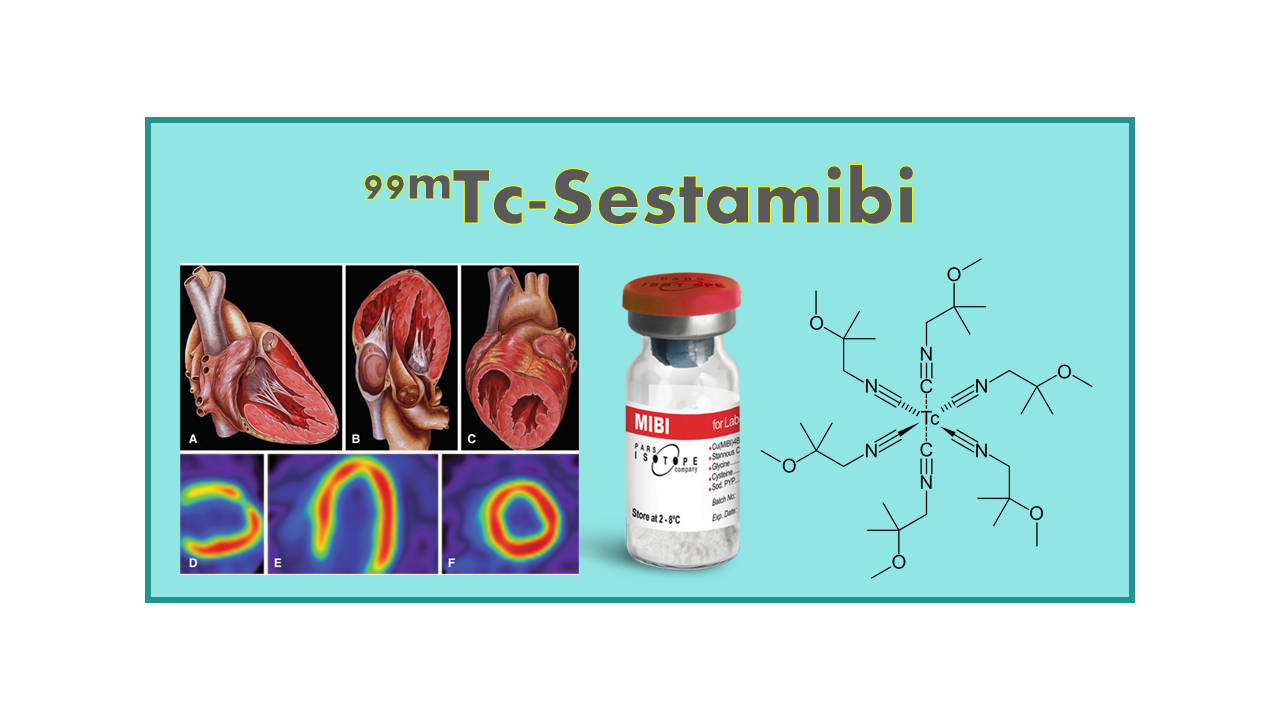 99mTc-Sestamibi