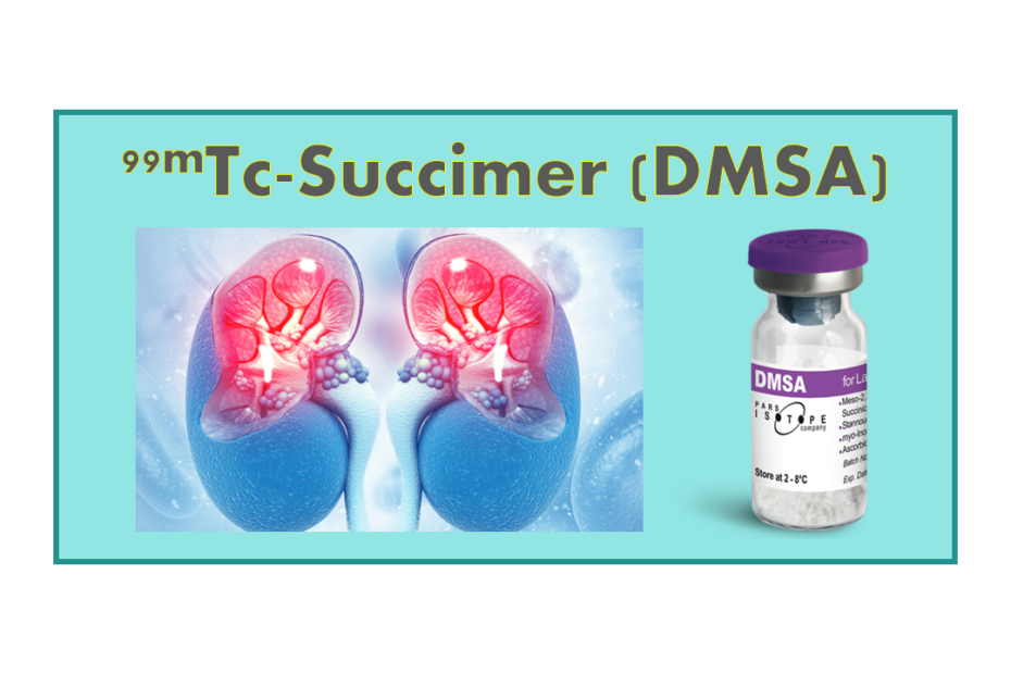 99mTc-Succimer (DMSA)