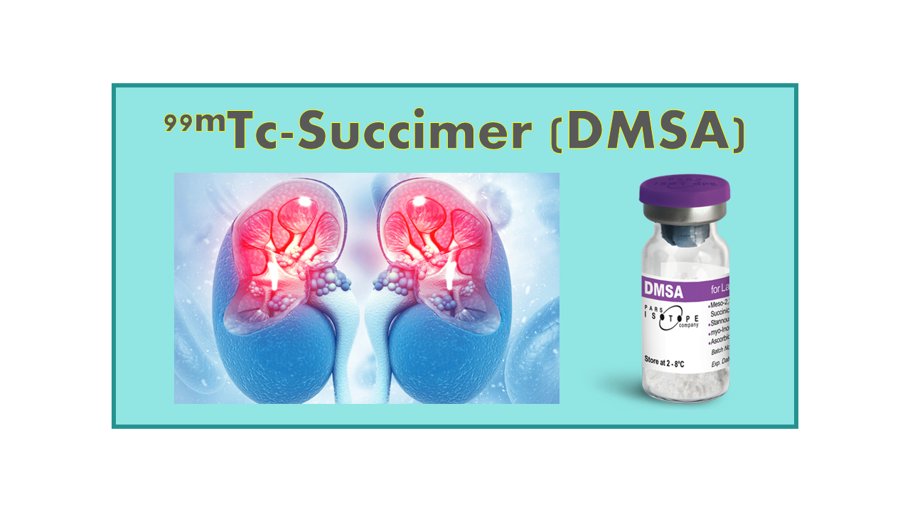 99mTc-Succimer (DMSA)