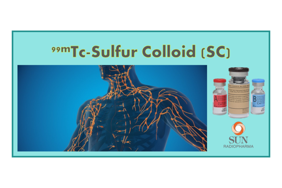 99mTc-Sulfur Colloid (SC)