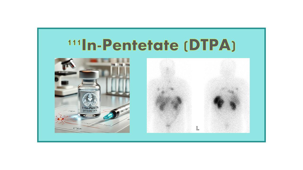 111In-Pentetate (DTPA)