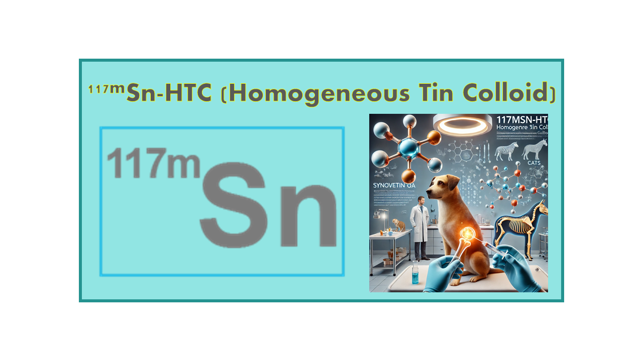 117mSn-HTC (Homogeneous Tin Colloid)