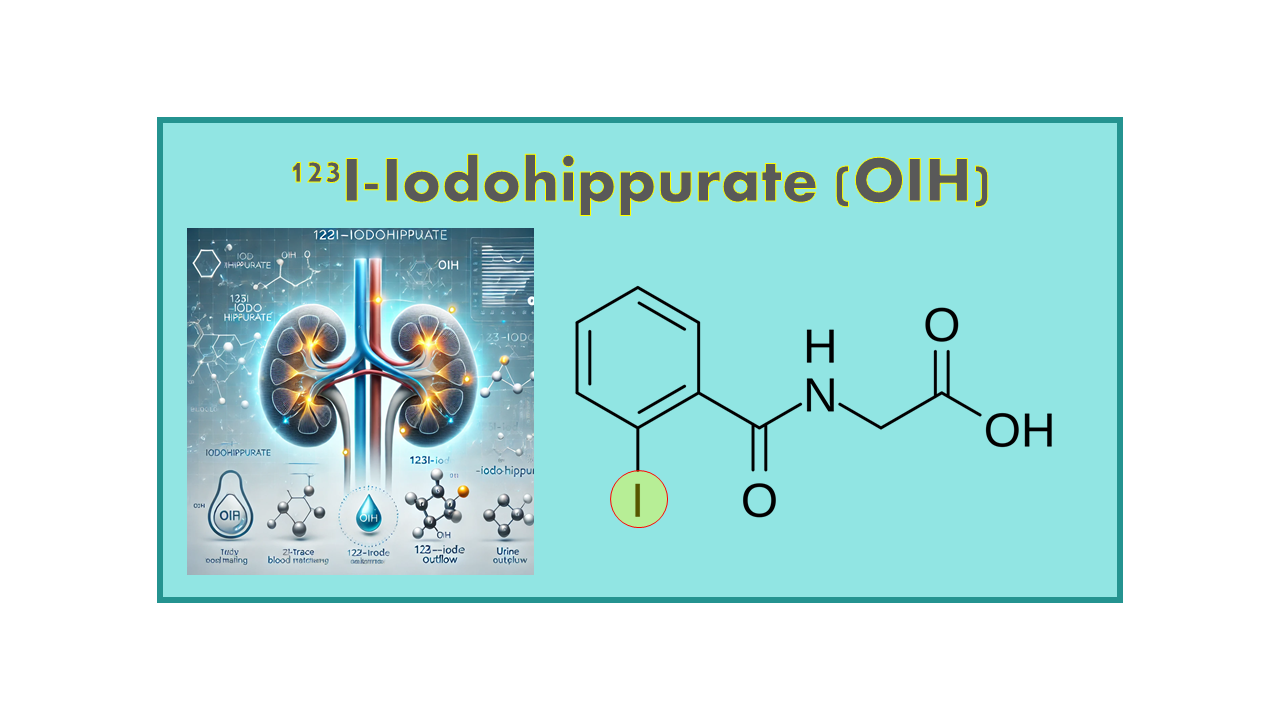 123I-Iodohippurate (OIH)