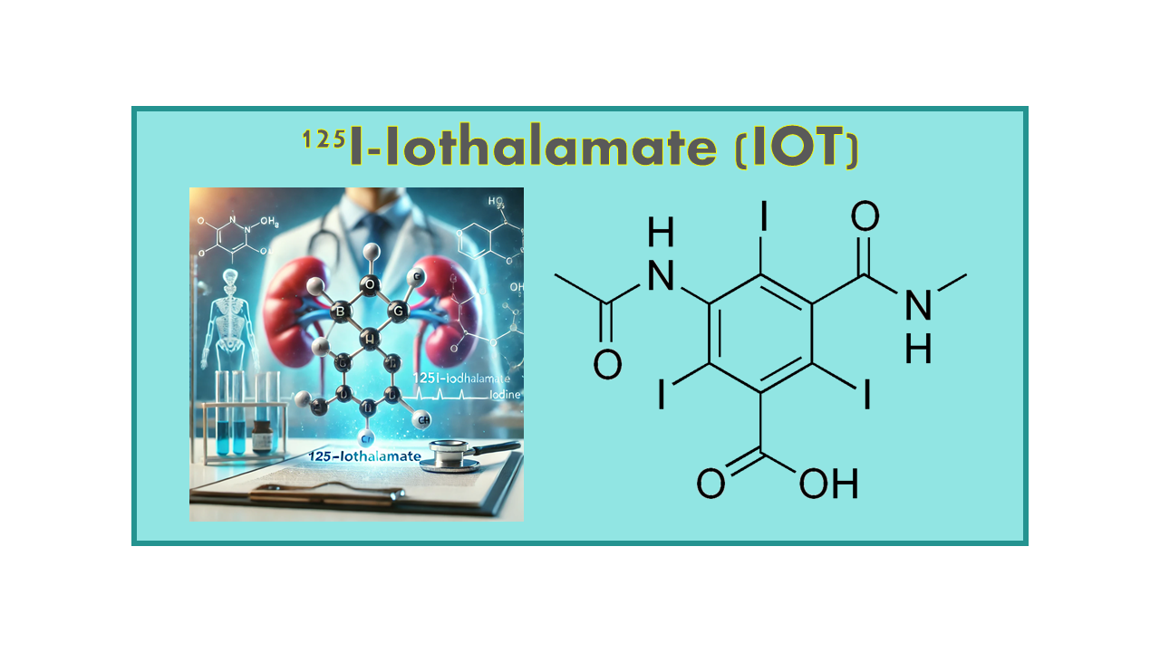 125I-Iothalamate (IOT)