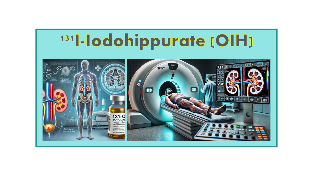 131I-Iodohippurate (OIH)